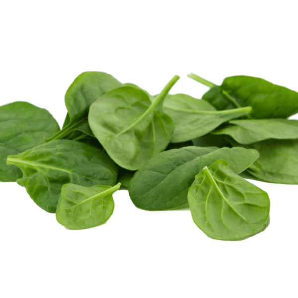 Organic Spinach Powder (Freeze-Dried)