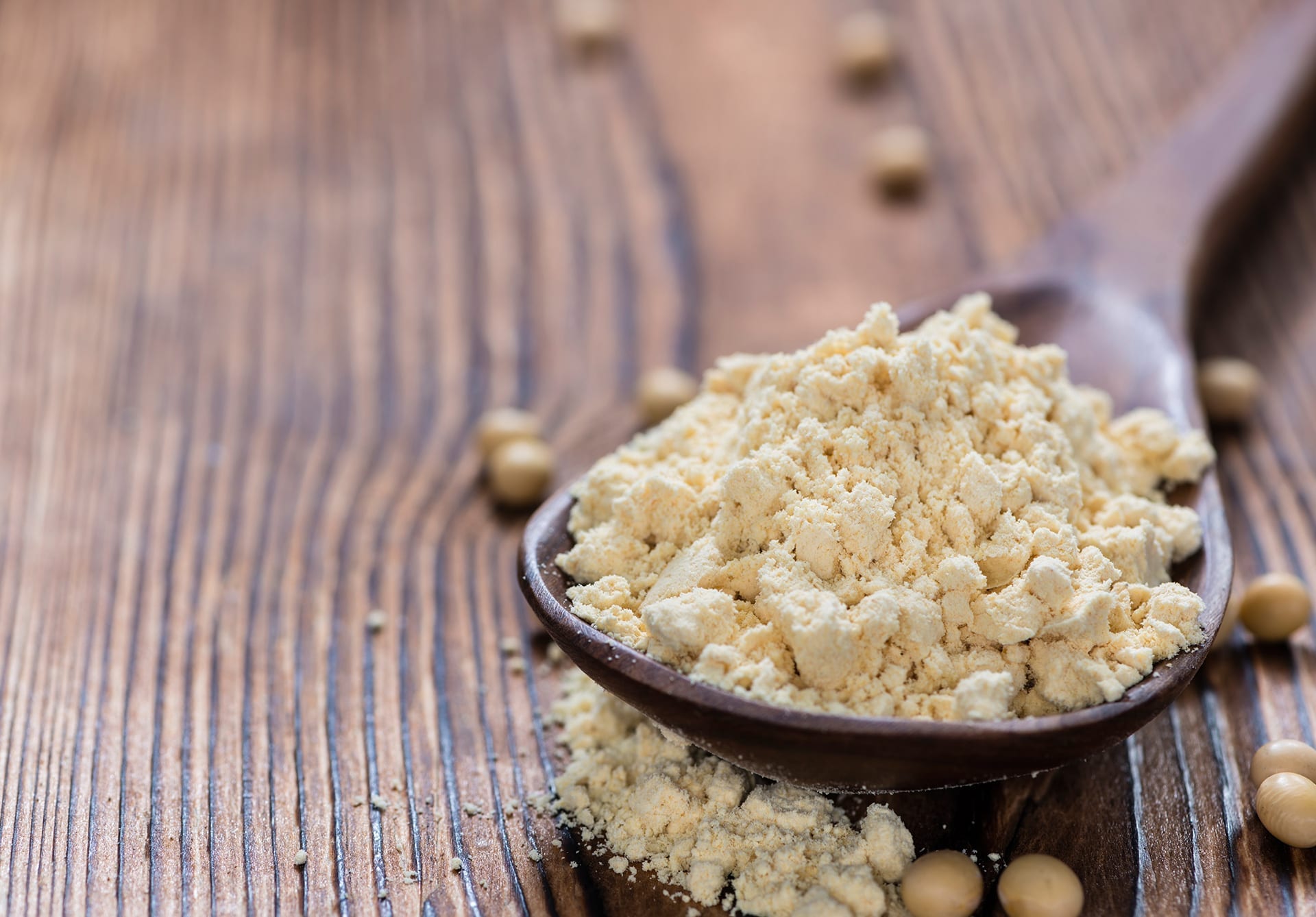 pea protein powder on a wooden spoon